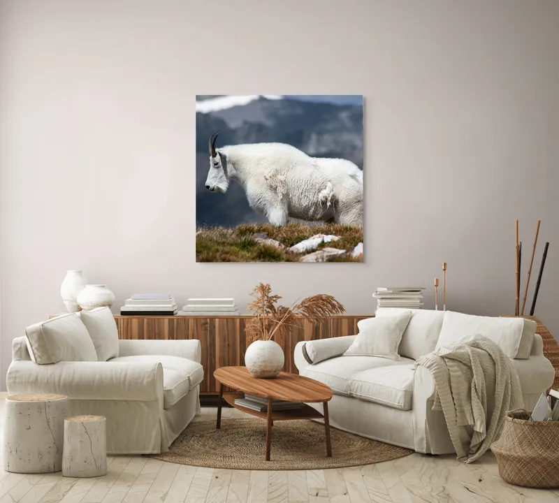 Tablou Canvas, "Un muntean solitar în vârf de lume", Nu pot să spun ce tip de animal este acesta., 100 x 100 cm – poza 3