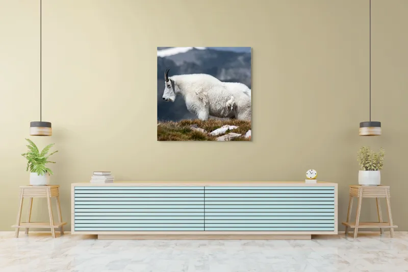 Tablou Canvas, "Un muntean solitar în vârf de lume", Nu pot să spun ce tip de animal este acesta., 100 x 100 cm – poza 5