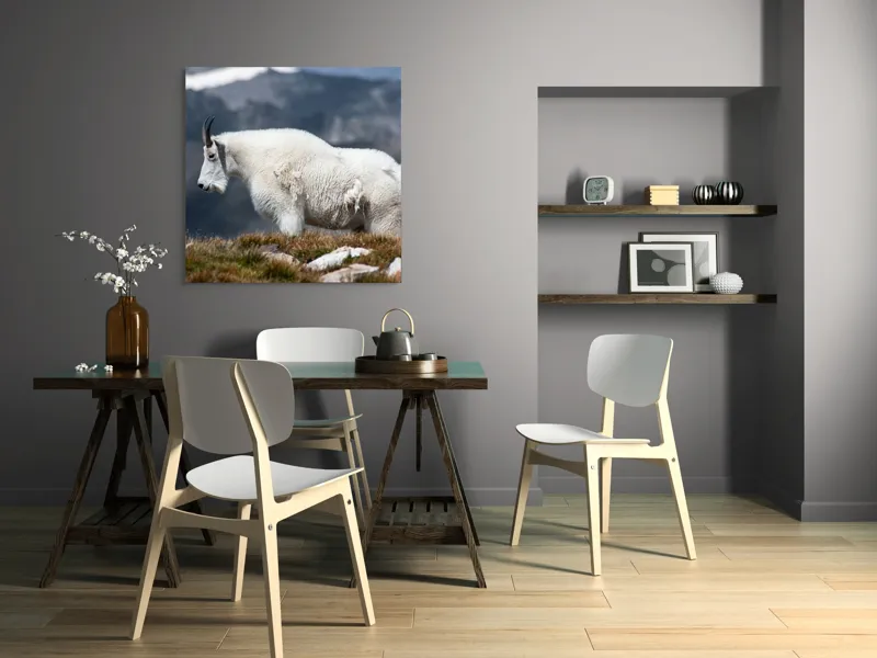 Tablou Canvas, "Un muntean solitar în vârf de lume", Nu pot să spun ce tip de animal este acesta., 100 x 100 cm – poza 6