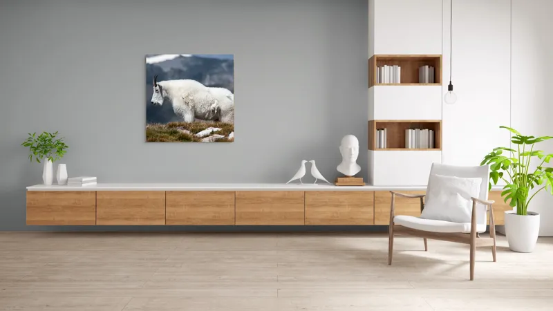 Tablou Canvas, "Un muntean solitar în vârf de lume", Nu pot să spun ce tip de animal este acesta., 100 x 100 cm – poza 8