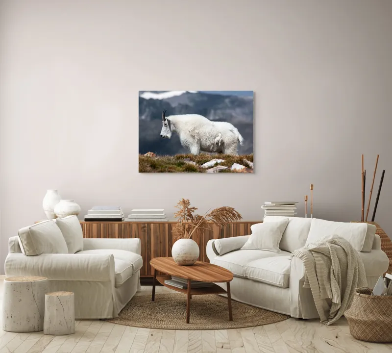 Tablou Canvas, "Un muntean solitar în vârf de lume", Nu pot să spun ce tip de animal este acesta., 100 x 70 cm – poza 3