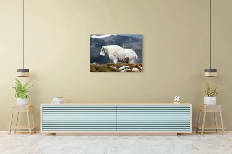 Tablou Canvas, "Un muntean solitar în vârf de lume", Nu pot să spun ce tip de animal este acesta., 100 x 70 cm – poza 4