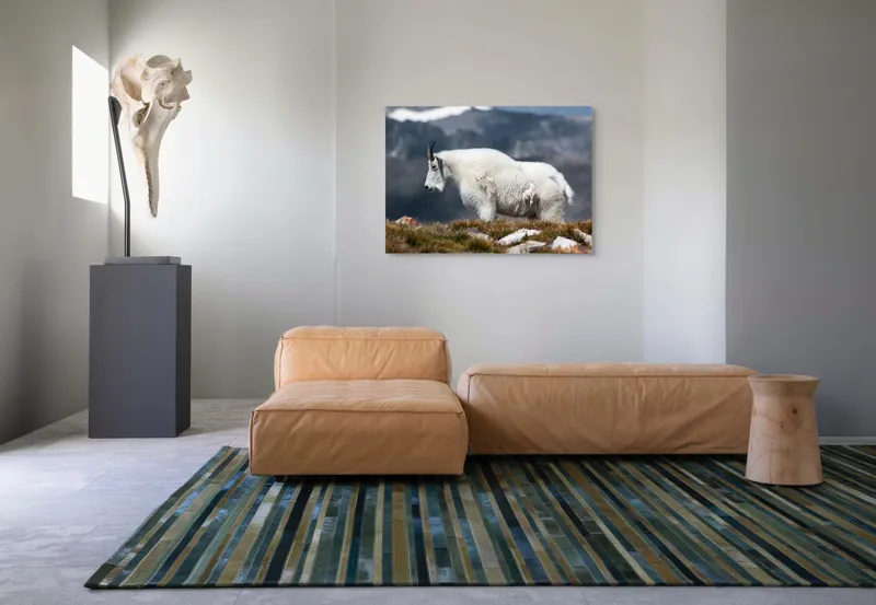 Tablou Canvas, "Un muntean solitar în vârf de lume", Nu pot să spun ce tip de animal este acesta., 100 x 70 cm – poza 7