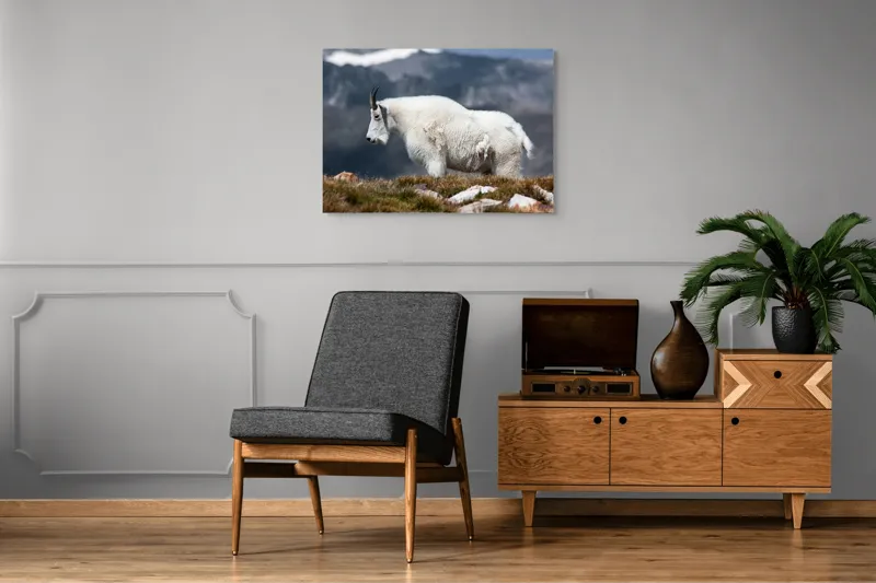 Tablou Canvas, "Un muntean solitar în vârf de lume", Nu pot să spun ce tip de animal este acesta., 100 x 70 cm – poza 8