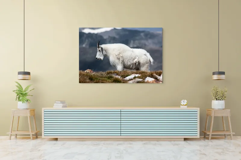Tablou Canvas, "Un muntean solitar în vârf de lume", Nu pot să spun ce tip de animal este acesta., 150 x 100 cm – poza 6
