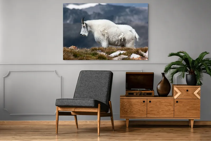 Tablou Canvas, "Un muntean solitar în vârf de lume", Nu pot să spun ce tip de animal este acesta., 150 x 100 cm – poza 8