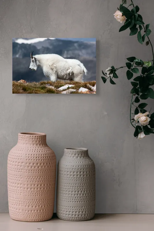 Tablou Canvas, "Un muntean solitar în vârf de lume", Nu pot să spun ce tip de animal este acesta., 39 x 26 cm – poza 4