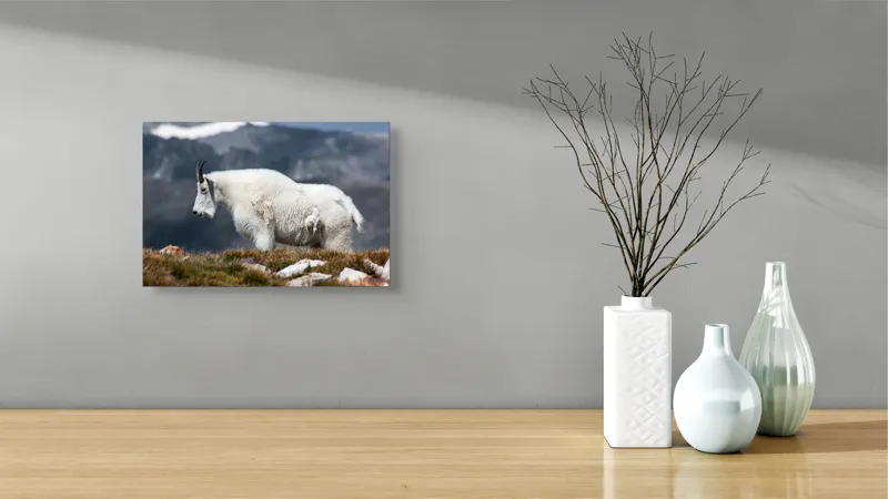 Tablou Canvas, "Un muntean solitar în vârf de lume", Nu pot să spun ce tip de animal este acesta., 39 x 26 cm – poza 8