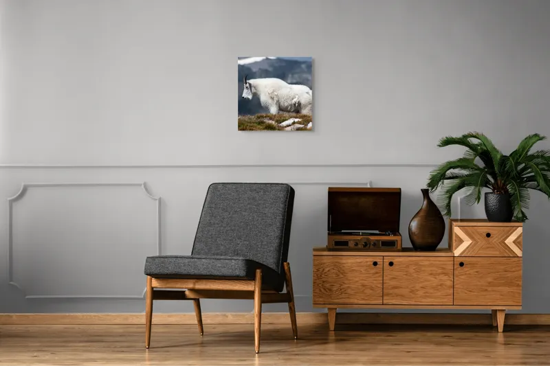 Tablou Canvas, "Un muntean solitar în vârf de lume", Nu pot să spun ce tip de animal este acesta., 50 x 50 cm – poza 6