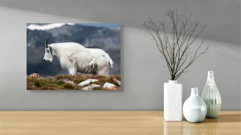 Tablou Canvas, "Un muntean solitar în vârf de lume", Nu pot să spun ce tip de animal este acesta., 54 x 39 cm – poza 3