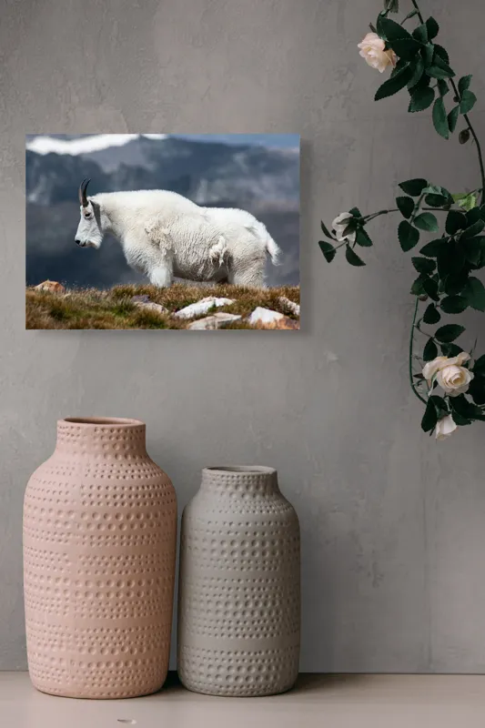 Tablou Canvas, "Un muntean solitar în vârf de lume", Nu pot să spun ce tip de animal este acesta., 54 x 39 cm – poza 8