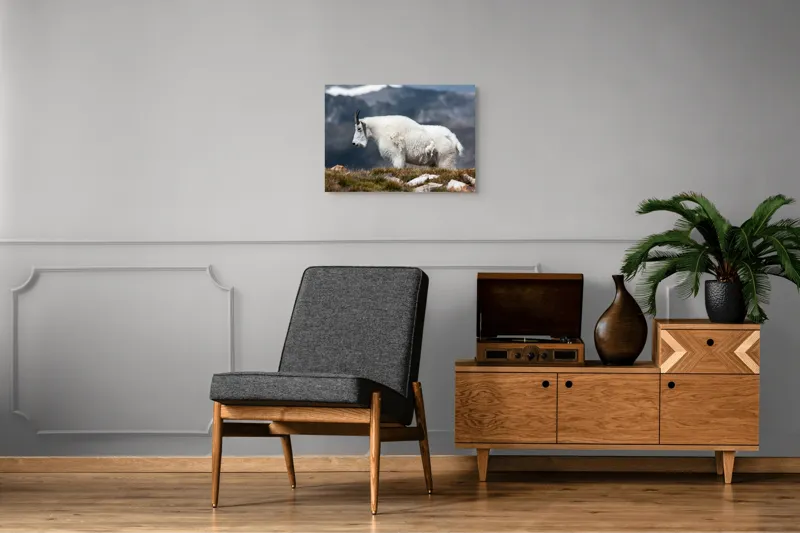 Tablou Canvas, "Un muntean solitar în vârf de lume", Nu pot să spun ce tip de animal este acesta., 70 x 50 cm – poza 4