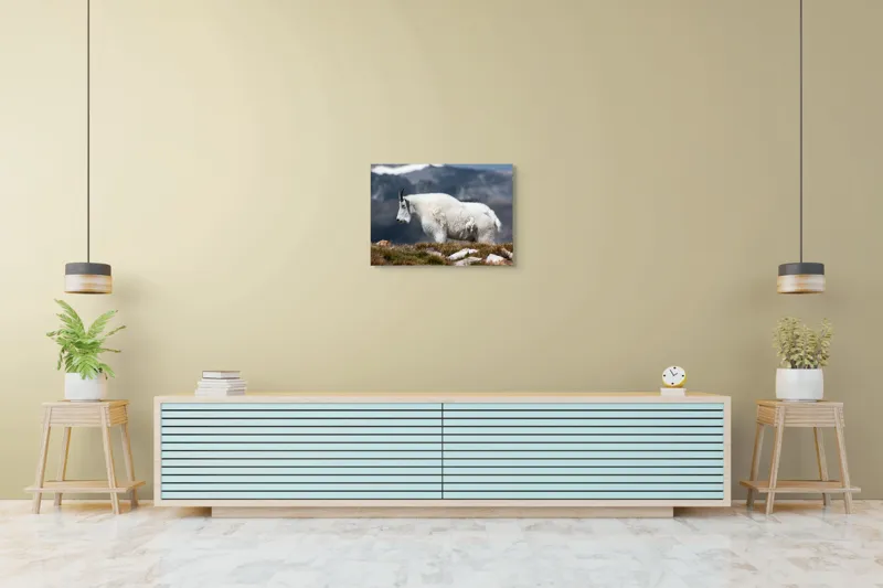 Tablou Canvas, "Un muntean solitar în vârf de lume", Nu pot să spun ce tip de animal este acesta., 70 x 50 cm – poza 7
