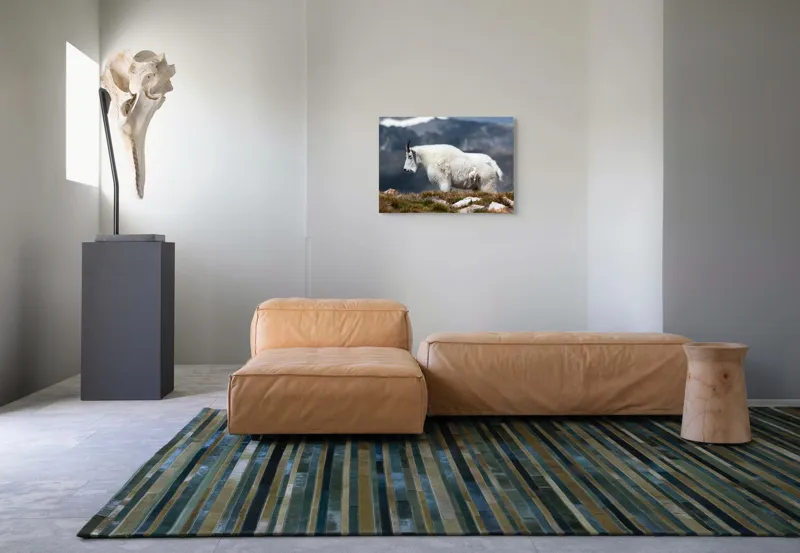 Tablou Canvas, "Un muntean solitar în vârf de lume", Nu pot să spun ce tip de animal este acesta., 70 x 50 cm – poza 8