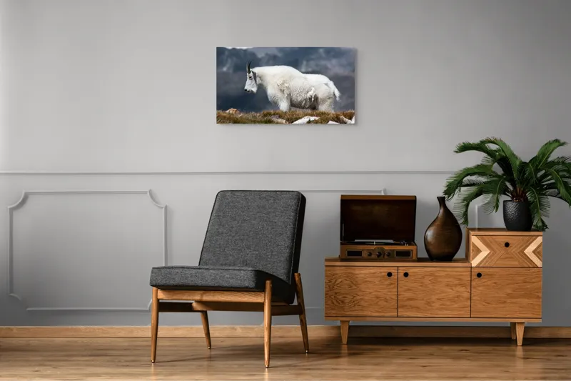 Tablou Canvas, "Un muntean solitar în vârf de lume", Nu pot să spun ce tip de animal este acesta., 90 x 50 cm – poza 6