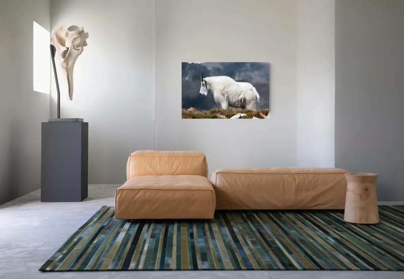 Tablou Canvas, "Un muntean solitar în vârf de lume", Nu pot să spun ce tip de animal este acesta., 90 x 50 cm – poza 8