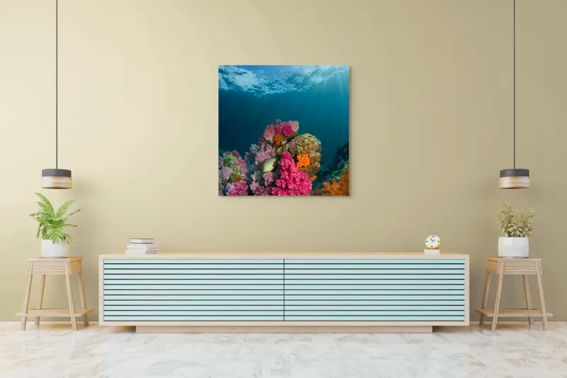 Tablou Canvas, "Raiul subacvatic al recifurilor de corali", Spectacol, Subacvatic, Culoare, Corali, Pește, Soare, Razele, Apă, Strălucire, Frumusețe., 100 x 100 cm – poza 5