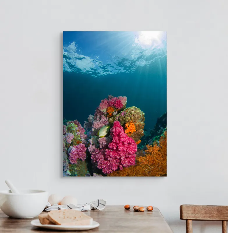 Tablou Canvas, "Raiul subacvatic al recifurilor de corali", Spectacol, Subacvatic, Culoare, Corali, Pește, Soare, Razele, Apă, Strălucire, Frumusețe., 50 x 70 cm – poza 3
