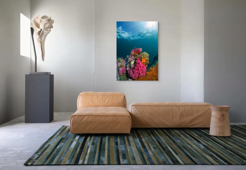 Tablou Canvas, "Raiul subacvatic al recifurilor de corali", Spectacol, Subacvatic, Culoare, Corali, Pește, Soare, Razele, Apă, Strălucire, Frumusețe., 70 x 100 cm – poza 7