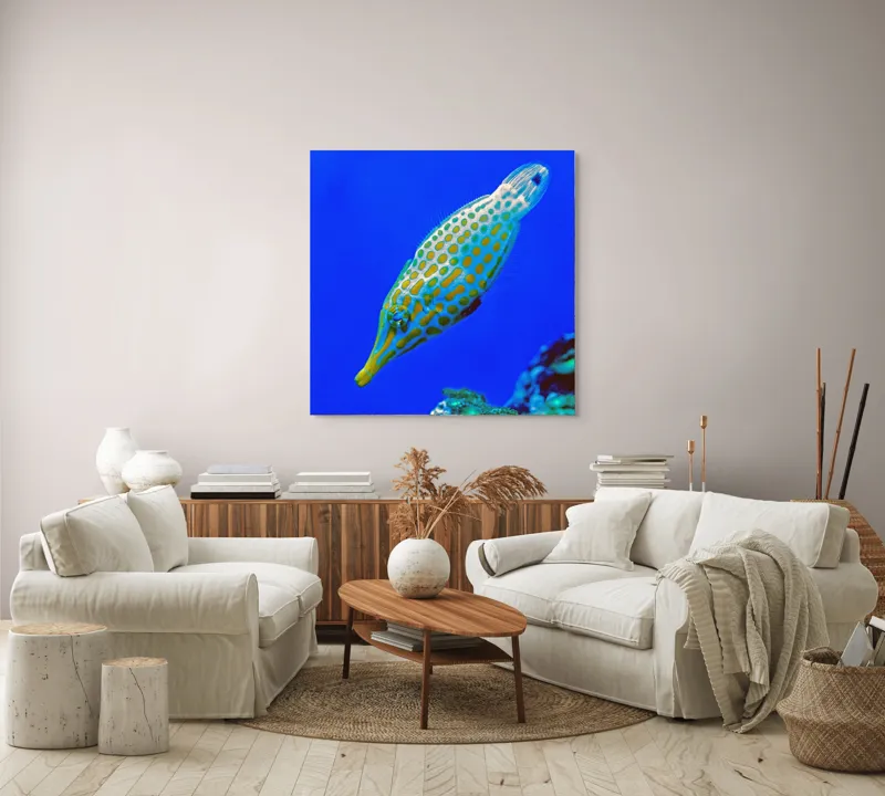 Tablou Canvas, "Peștișorul viu colorat din adâncuri", Pește, Ocean, Albastru, Portocaliu, Acvatic, Exotic, Vibrant, Colorat, Muzeu, Marine., 100 x 100 cm – poza 3
