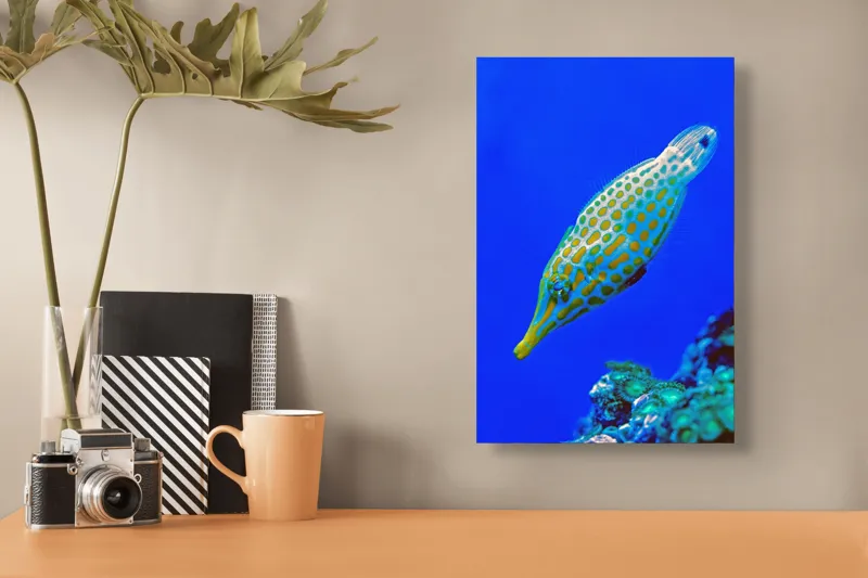 Tablou Canvas, "Peștișorul viu colorat din adâncuri", Pește, Ocean, Albastru, Portocaliu, Acvatic, Exotic, Vibrant, Colorat, Muzeu, Marine., 26 x 39 cm – poza 3