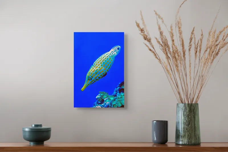 Tablou Canvas, "Peștișorul viu colorat din adâncuri", Pește, Ocean, Albastru, Portocaliu, Acvatic, Exotic, Vibrant, Colorat, Muzeu, Marine., 26 x 39 cm – poza 5