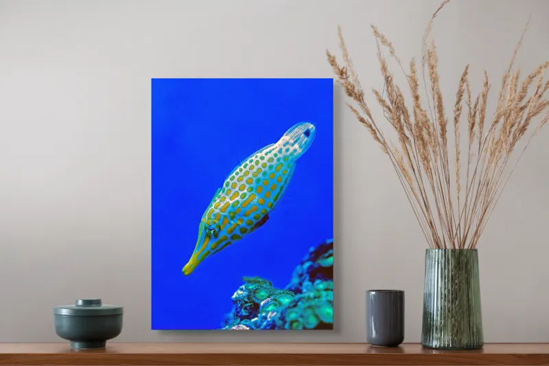 Tablou Canvas, "Peștișorul viu colorat din adâncuri", Pește, Ocean, Albastru, Portocaliu, Acvatic, Exotic, Vibrant, Colorat, Muzeu, Marine., 39 x 54 cm – poza 3