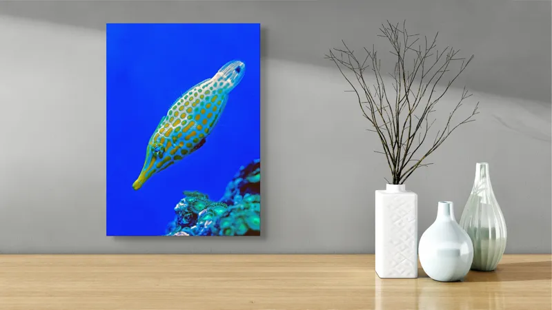 Tablou Canvas, "Peștișorul viu colorat din adâncuri", Pește, Ocean, Albastru, Portocaliu, Acvatic, Exotic, Vibrant, Colorat, Muzeu, Marine., 39 x 54 cm – poza 4