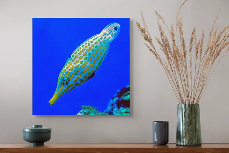 Tablou Canvas, "Peștișorul viu colorat din adâncuri", Pește, Ocean, Albastru, Portocaliu, Acvatic, Exotic, Vibrant, Colorat, Muzeu, Marine., 50 x 50 cm – poza 4