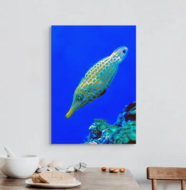 Tablou Canvas, "Peștișorul viu colorat din adâncuri", Pește, Ocean, Albastru, Portocaliu, Acvatic, Exotic, Vibrant, Colorat, Muzeu, Marine., 50 x 70 cm – poza 3