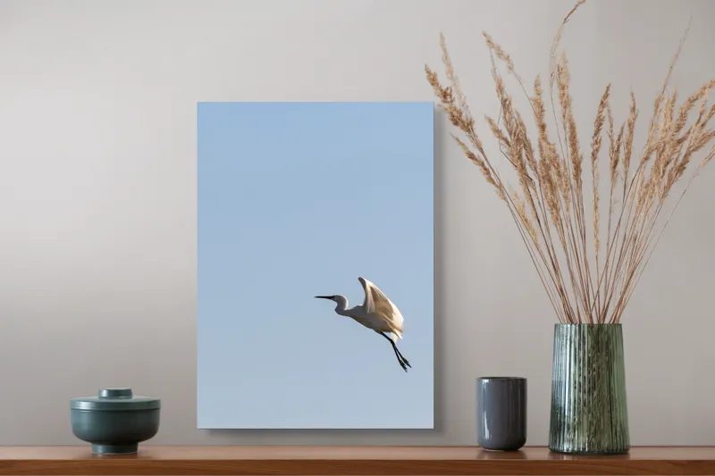 Tablou Canvas, "Egretul zburând sub cer senin", Pasăre, Zbor, Cer, Lumină, Libertate, Aripi, Serenitate, 39 x 54 cm – poza 3