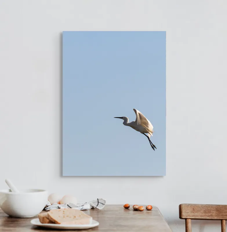 Tablou Canvas, "Egretul zburând sub cer senin", Pasăre, Zbor, Cer, Lumină, Libertate, Aripi, Serenitate, 50 x 70 cm – poza 3