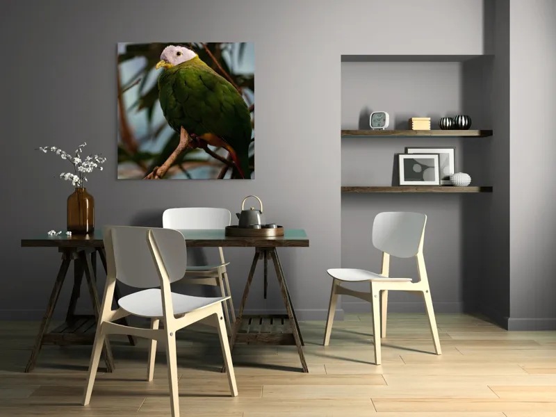 Tablou Canvas, "Papagalul verde pe o creangă.", Pasăre, Colorată, Frunze, Creangă, Natură, Penaj, Verde, Cioc., 100 x 100 cm – poza 6
