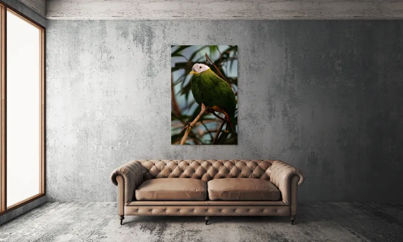 Tablou Canvas, "Papagalul verde pe o creangă.", Pasăre, Colorată, Frunze, Creangă, Natură, Penaj, Verde, Cioc., 100 x 150 cm – poza 6