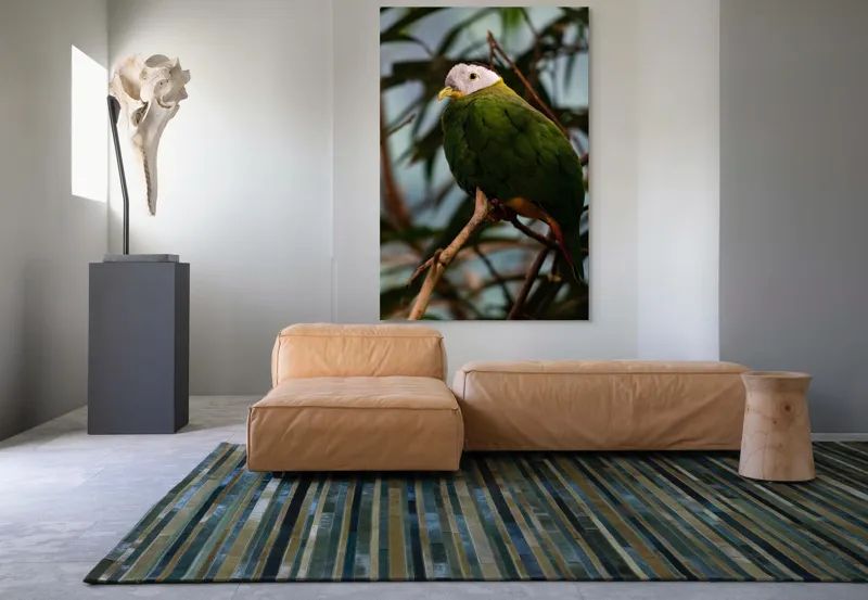 Tablou Canvas, "Papagalul verde pe o creangă.", Pasăre, Colorată, Frunze, Creangă, Natură, Penaj, Verde, Cioc., 100 x 150 cm – poza 7