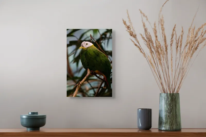 Tablou Canvas, "Papagalul verde pe o creangă.", Pasăre, Colorată, Frunze, Creangă, Natură, Penaj, Verde, Cioc., 26 x 39 cm – poza 5