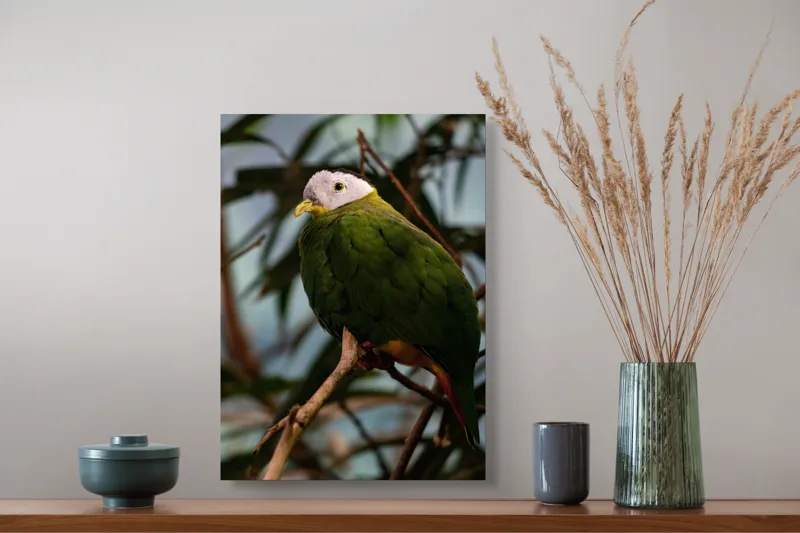 Tablou Canvas, "Papagalul verde pe o creangă.", Pasăre, Colorată, Frunze, Creangă, Natură, Penaj, Verde, Cioc., 39 x 54 cm – poza 3