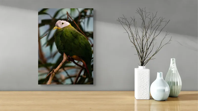 Tablou Canvas, "Papagalul verde pe o creangă.", Pasăre, Colorată, Frunze, Creangă, Natură, Penaj, Verde, Cioc., 39 x 54 cm – poza 4