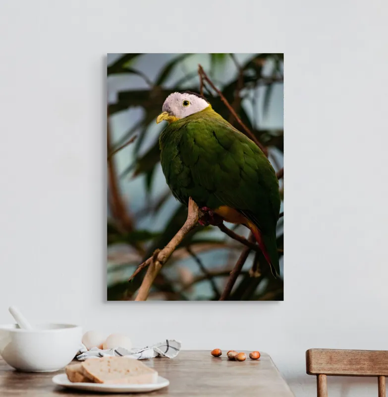 Tablou Canvas, "Papagalul verde pe o creangă.", Pasăre, Colorată, Frunze, Creangă, Natură, Penaj, Verde, Cioc., 50 x 70 cm – poza 3