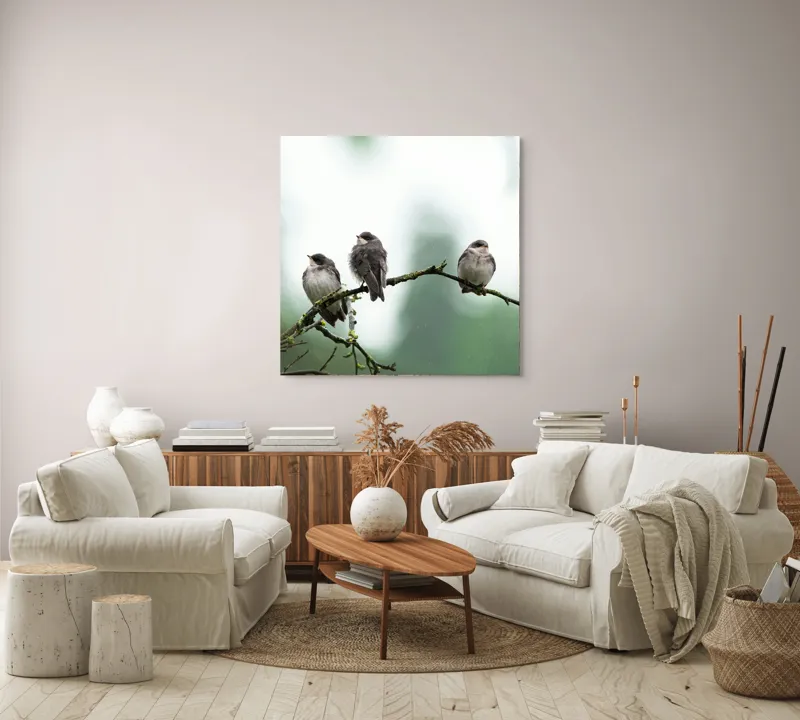 Tablou Canvas, "Trei păsări odihnindu-se pe ramură", Păsări, Ramură, Verde, Cer, Natură, Tranquilitate, Copaci, Pene, Speciale, Echilibru, 100 x 100 cm – poza 3