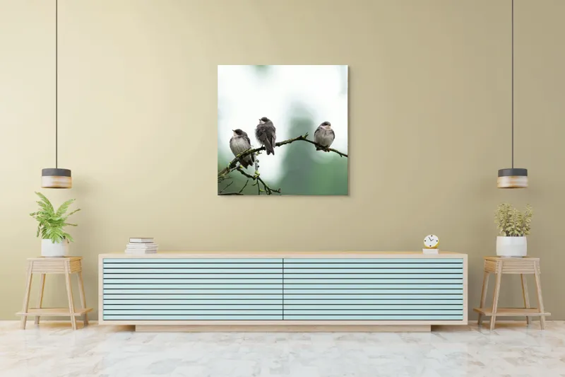 Tablou Canvas, "Trei păsări odihnindu-se pe ramură", Păsări, Ramură, Verde, Cer, Natură, Tranquilitate, Copaci, Pene, Speciale, Echilibru, 100 x 100 cm – poza 5