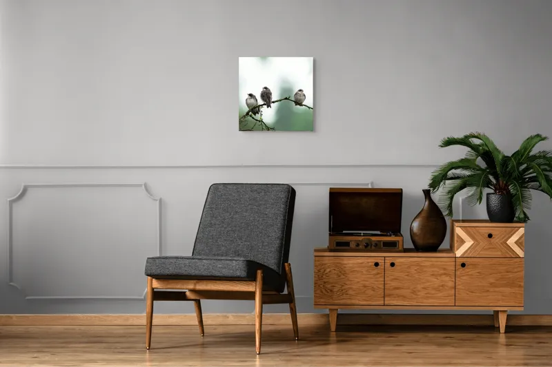 Tablou Canvas, "Trei păsări odihnindu-se pe ramură", Păsări, Ramură, Verde, Cer, Natură, Tranquilitate, Copaci, Pene, Speciale, Echilibru, 50 x 50 cm – poza 6