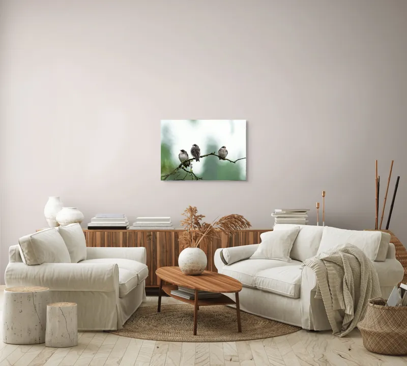 Tablou Canvas, "Trei păsări odihnindu-se pe ramură", Păsări, Ramură, Verde, Cer, Natură, Tranquilitate, Copaci, Pene, Speciale, Echilibru, 70 x 50 cm – poza 6
