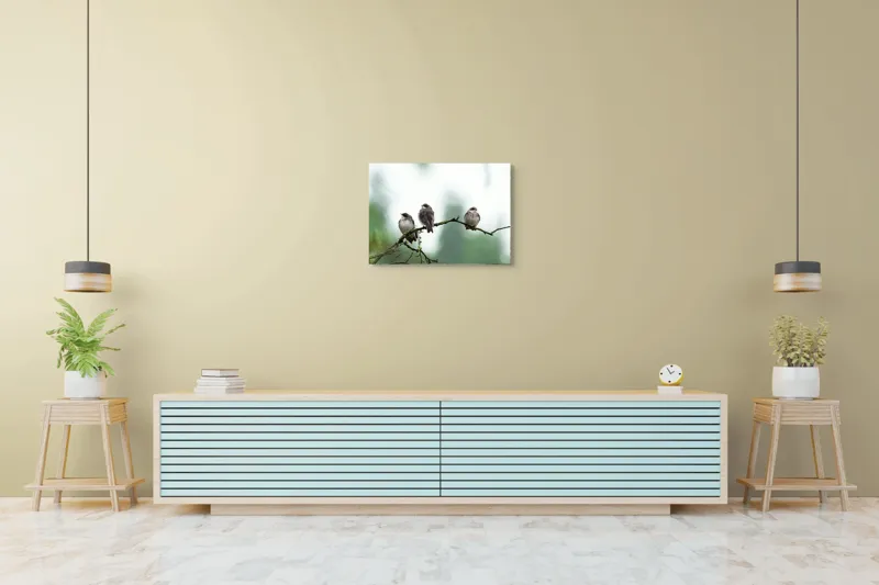 Tablou Canvas, "Trei păsări odihnindu-se pe ramură", Păsări, Ramură, Verde, Cer, Natură, Tranquilitate, Copaci, Pene, Speciale, Echilibru, 70 x 50 cm – poza 7