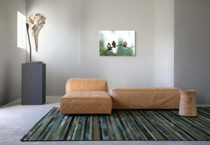 Tablou Canvas, "Trei păsări odihnindu-se pe ramură", Păsări, Ramură, Verde, Cer, Natură, Tranquilitate, Copaci, Pene, Speciale, Echilibru, 70 x 50 cm – poza 8