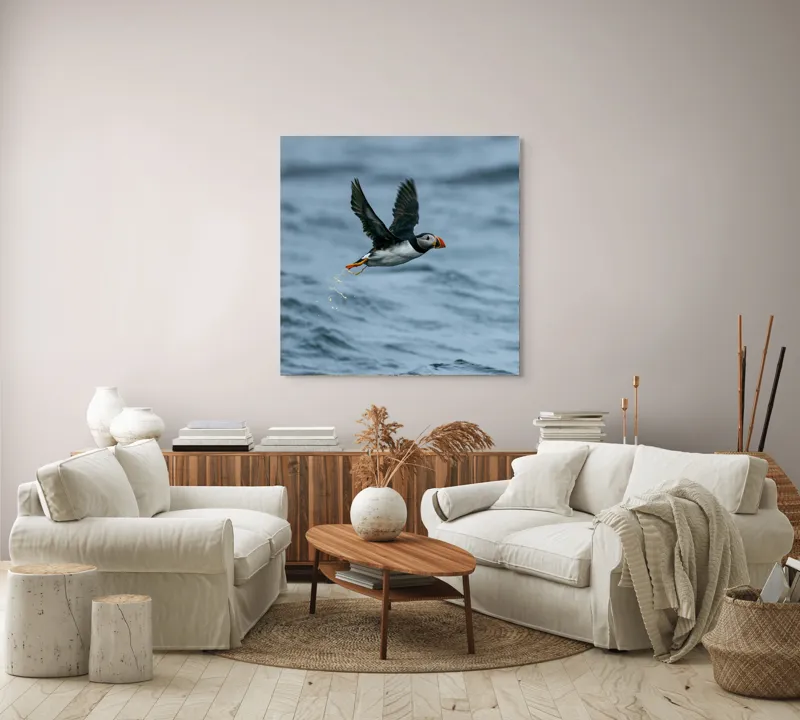 Tablou Canvas, "Zborul pufinului deasupra mării", Puffin, Zbor, Ocean, Pene, Aripi, Cer, Valuri, Natura, Libertate, Eleganta, 100 x 100 cm – poza 3