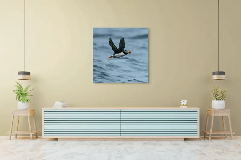Tablou Canvas, "Zborul pufinului deasupra mării", Puffin, Zbor, Ocean, Pene, Aripi, Cer, Valuri, Natura, Libertate, Eleganta, 100 x 100 cm – poza 5