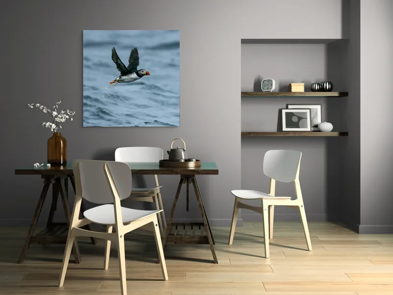 Tablou Canvas, "Zborul pufinului deasupra mării", Puffin, Zbor, Ocean, Pene, Aripi, Cer, Valuri, Natura, Libertate, Eleganta, 100 x 100 cm – poza 6