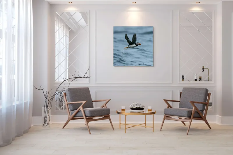 Tablou Canvas, "Zborul pufinului deasupra mării", Puffin, Zbor, Ocean, Pene, Aripi, Cer, Valuri, Natura, Libertate, Eleganta, 100 x 100 cm – poza 7