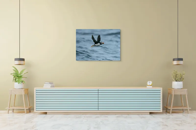 Tablou Canvas, "Zborul pufinului deasupra mării", Puffin, Zbor, Ocean, Pene, Aripi, Cer, Valuri, Natura, Libertate, Eleganta, 100 x 70 cm – poza 4